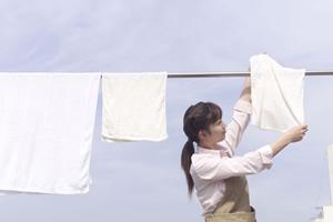 引越し業者はサービスの違いがあります