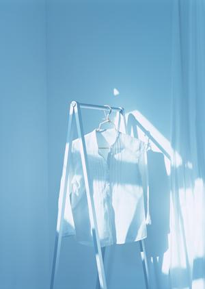 京都の四季折々を彩る花々！魅力溢れる花屋巡りを楽しもう